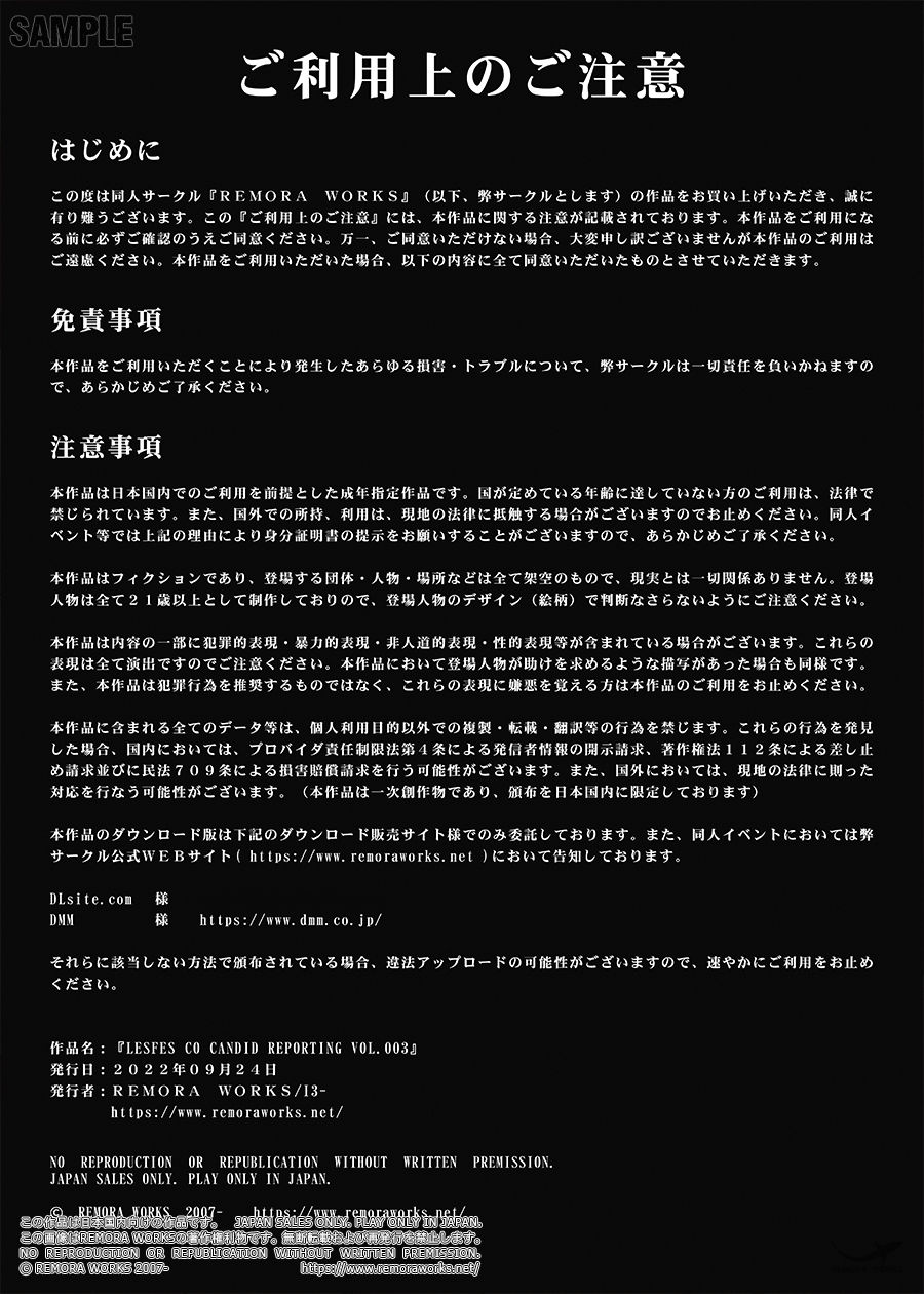 サンプル画像2:LESFES CO CANDID REPORTING VOL.003(REMORA WORKS) [d_246905]