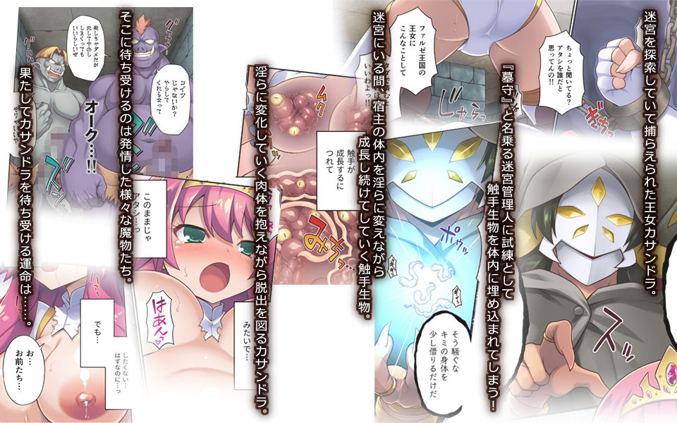 サンプル画像1:サクリファイスプリンセス〜発情快楽器官へと改造された勇ましき王女〜(モニスタラッシュ/a Matures) [d_247009]