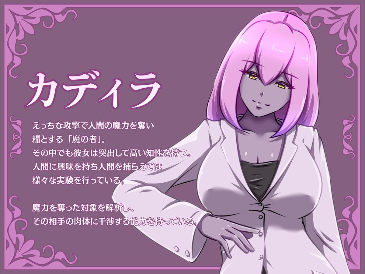 サンプル画像2:姫騎士がえっちな敵と戦って敗北する話(聖華快楽書店) [d_248857]