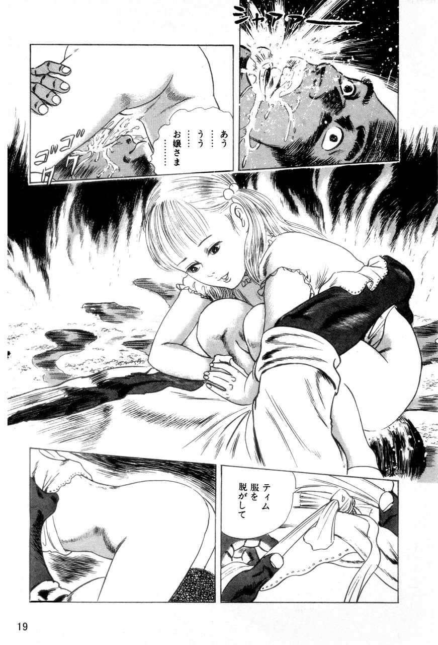 サンプル画像1:HENTAIーヘンタイー 作品集24(中島 史雄) [d_249099]