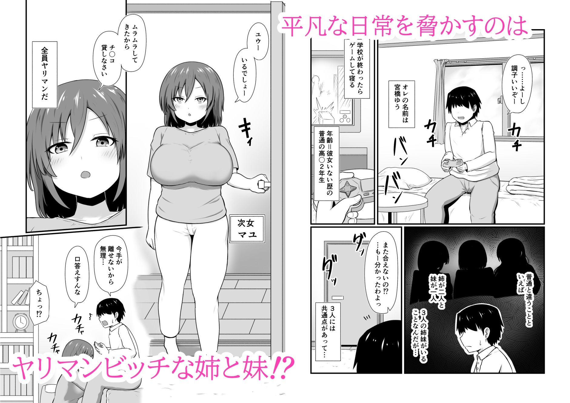 サンプル画像2:ヤリマン三姉妹と絶倫チ〇ポ弟の即ハメ日常生活(木林日ヨ) [d_250872]