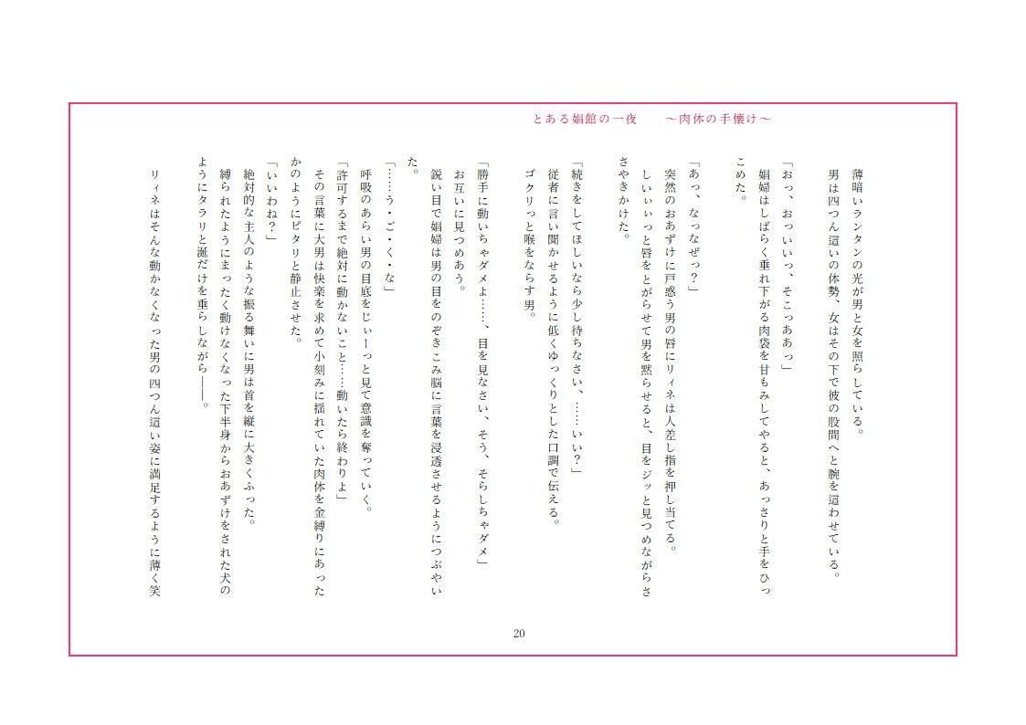 サンプル画像4:とある娼館の一夜 〜肉体の手懐け〜(式  フロン) [d_253087]