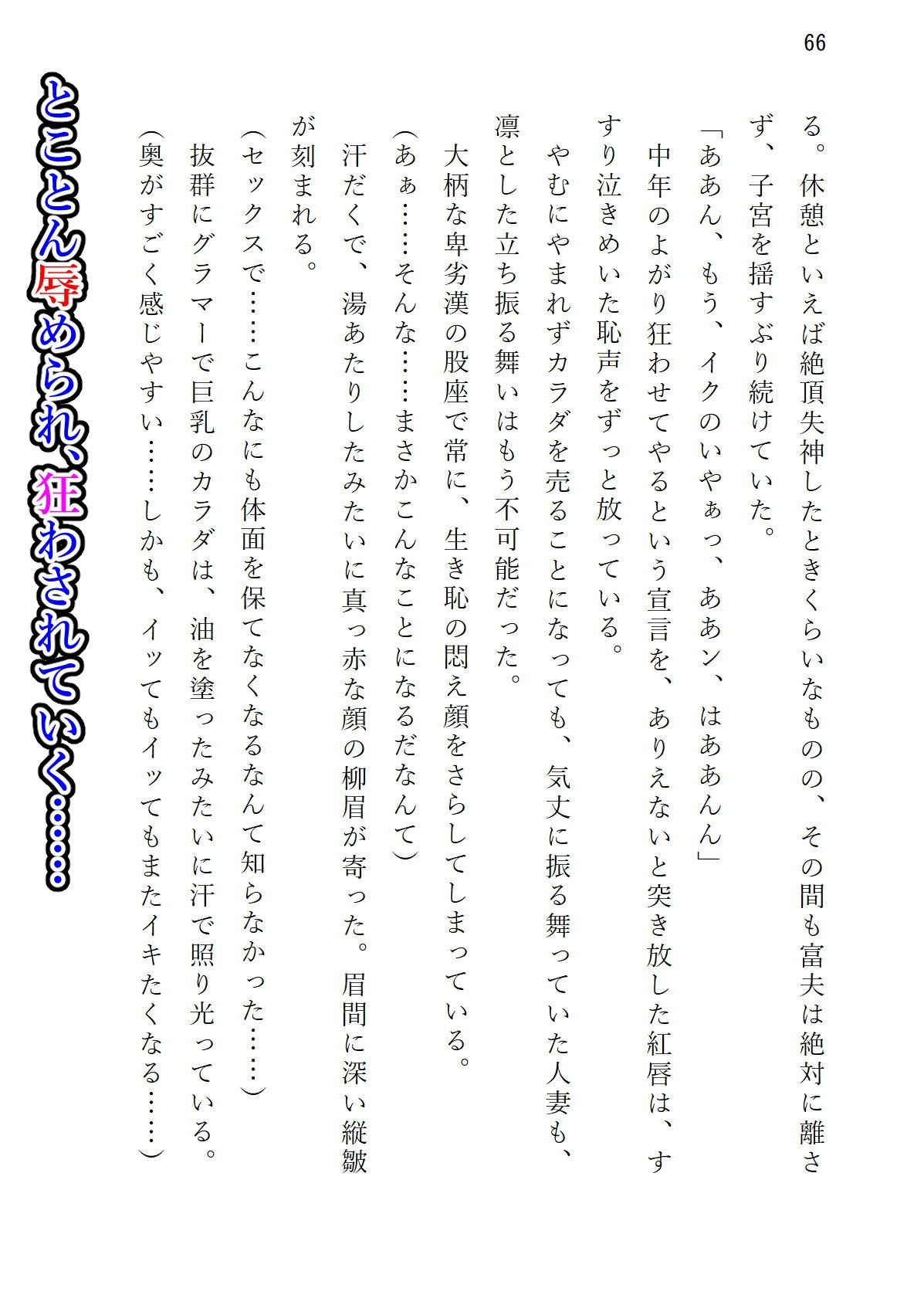 サンプル画像5:気の強い美妻 ゲス重役とのホワイトクリスマス(夜山の休憩所) [d_253654]