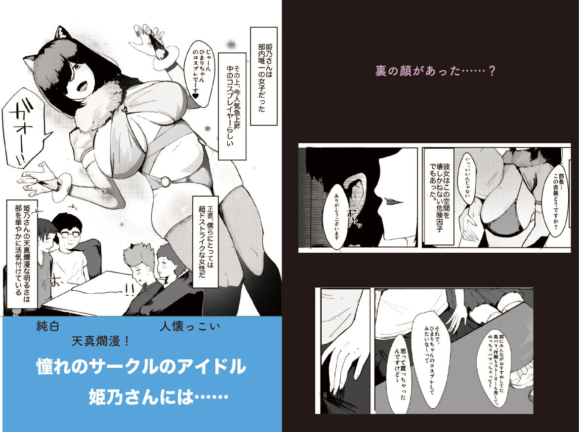 サンプル画像1:プリンセスナイトループ(マエダ) [d_253783]