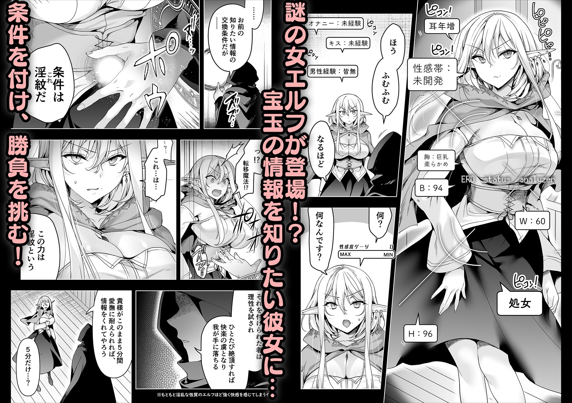 サンプル画像5:エルフに淫紋を付ける本 LEVEL:6(にのこや) [d_254950]