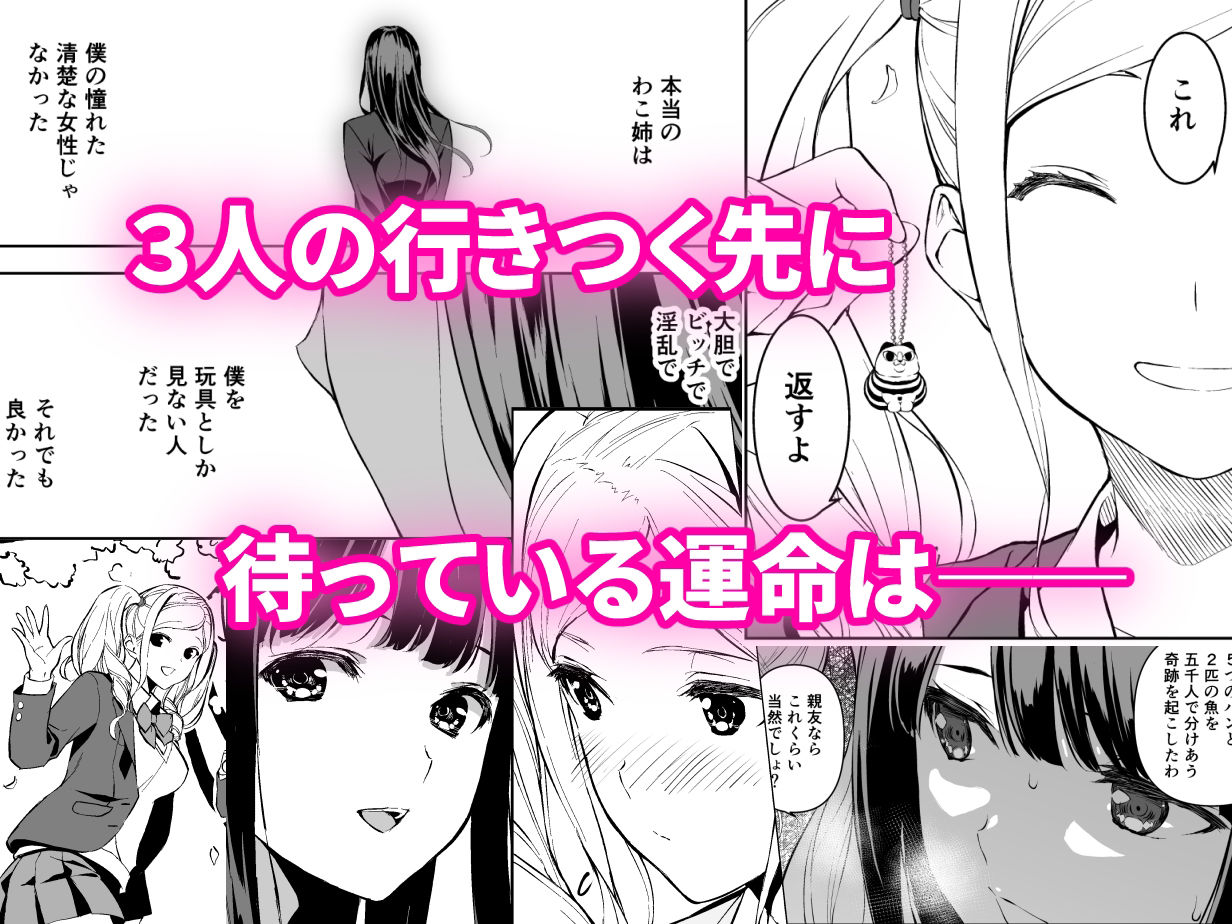 サンプル画像5:清楚な姉が好きなのに、ビッチとセックスしてる俺4(裏FMO) [d_255016]