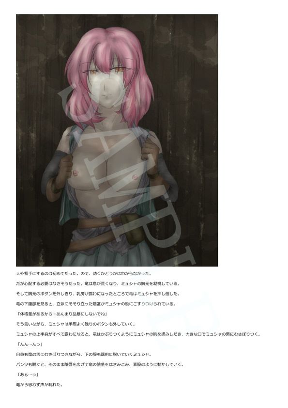 サンプル画像2:クエスト:孤島の竜の一番の宝物を入手せよ(紙のみそしる) [d_255151]