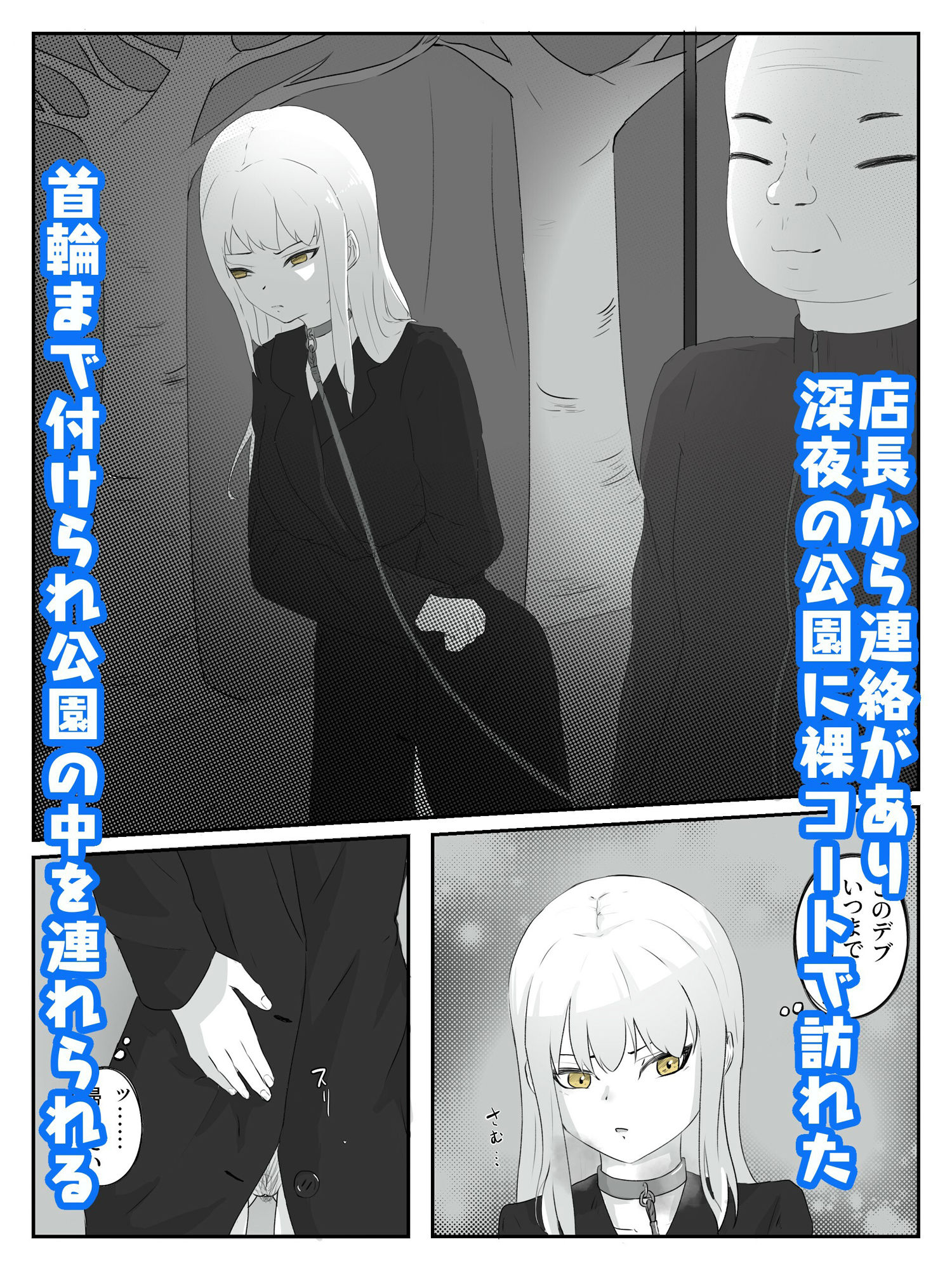 サンプル画像1:公園に裸コートで呼び出され首輪をつけられ青姦調教される ハメられ調教2(青。) [d_257127]