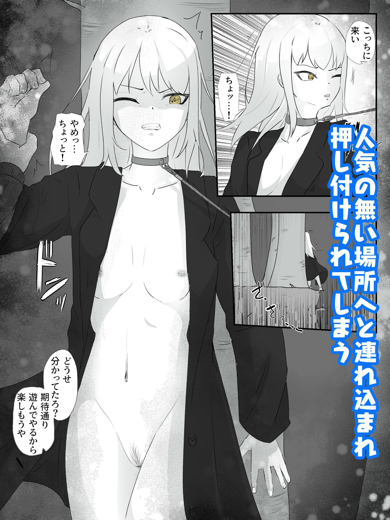 サンプル画像2:公園に裸コートで呼び出され首輪をつけられ青姦調教される ハメられ調教2(青。) [d_257127]