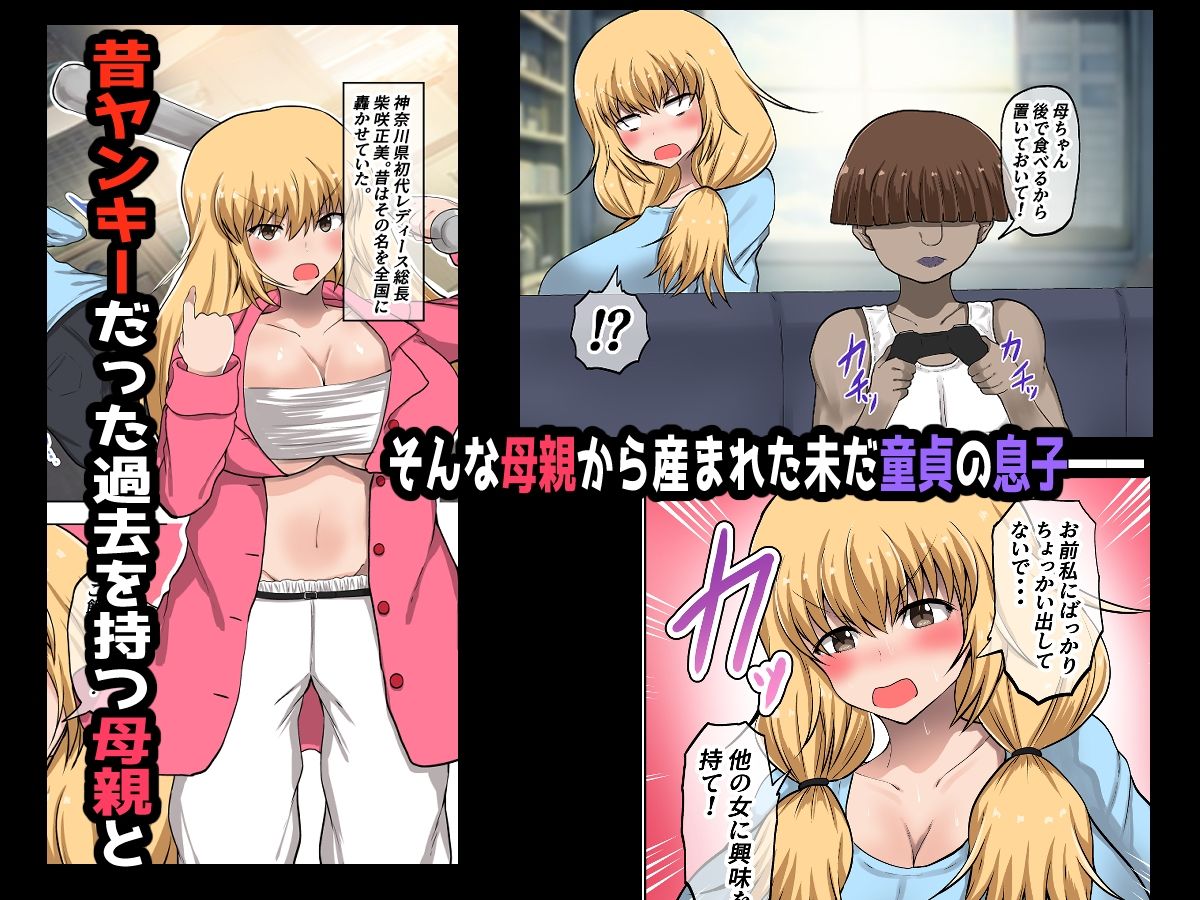 サンプル画像1:ヤンキー（母親）が夫に隠れて浮気H？(量子工房) [d_258452]