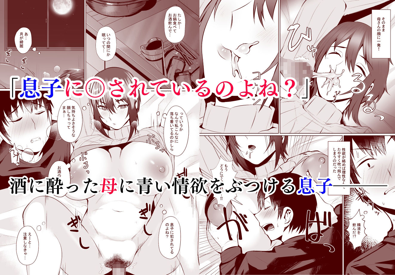 サンプル画像2:母子同棲(strike back) [d_259909]