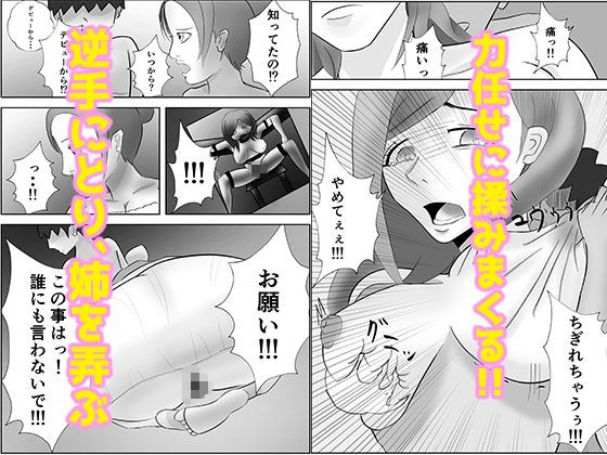 サンプル画像2:姉ちゃんはAV 女優(ティガ) [d_260199]