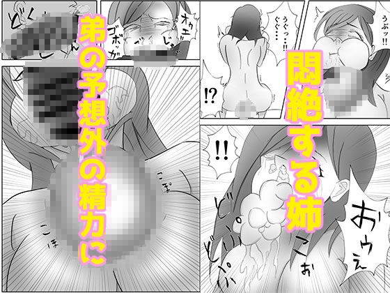 サンプル画像4:姉ちゃんはAV 女優(ティガ) [d_260199]