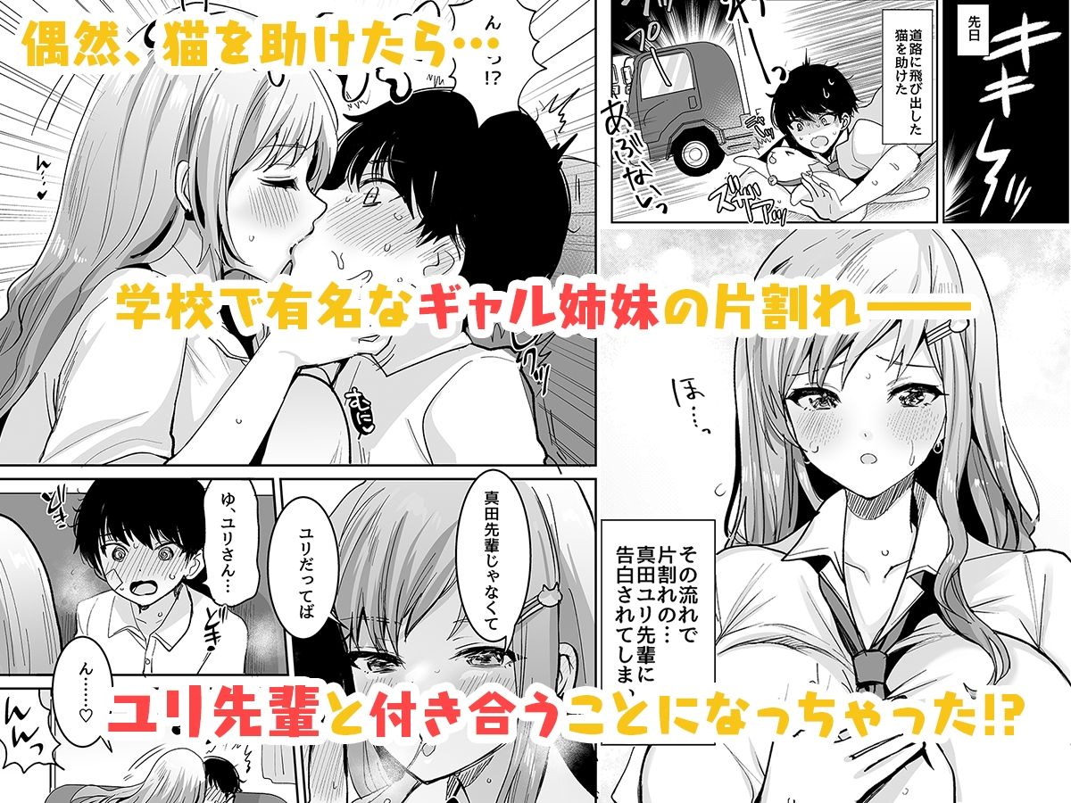 サンプル画像1:双子ギャルを僕のチンポで虜にしちゃった話。(やまなし娘。) [d_261152]