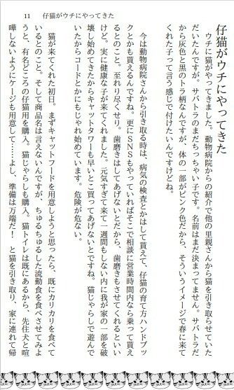 サンプル画像3:猫ブログまとめ1〜里親引き取りから成猫になるまで〜(小説屋白石華) [d_263129]