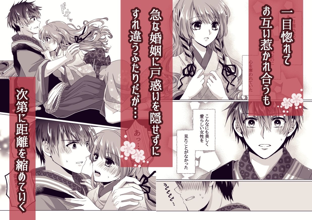 戦獄色語1 姫の巻〜愛する姫が凌●されたので、お清めする話〜の画像2