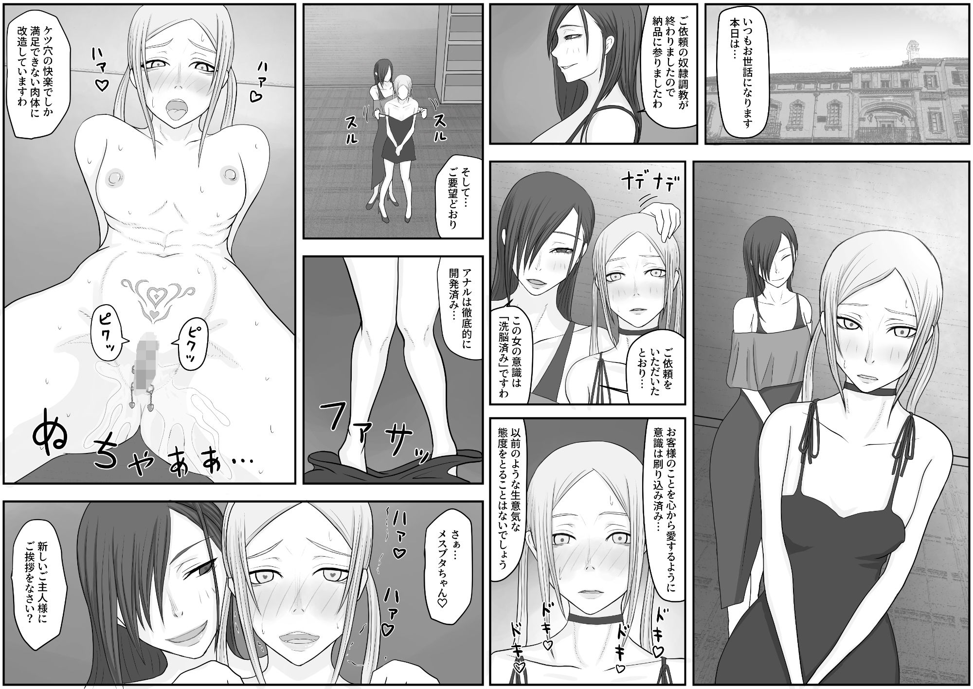 サンプル画像5:モデル洗脳 排泄奴●調教(Hydra Hidden Place) [d_267750]