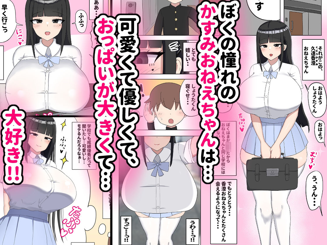 サンプル画像1:ぼくの好きなおねえちゃんは…(たねや) [d_273364]