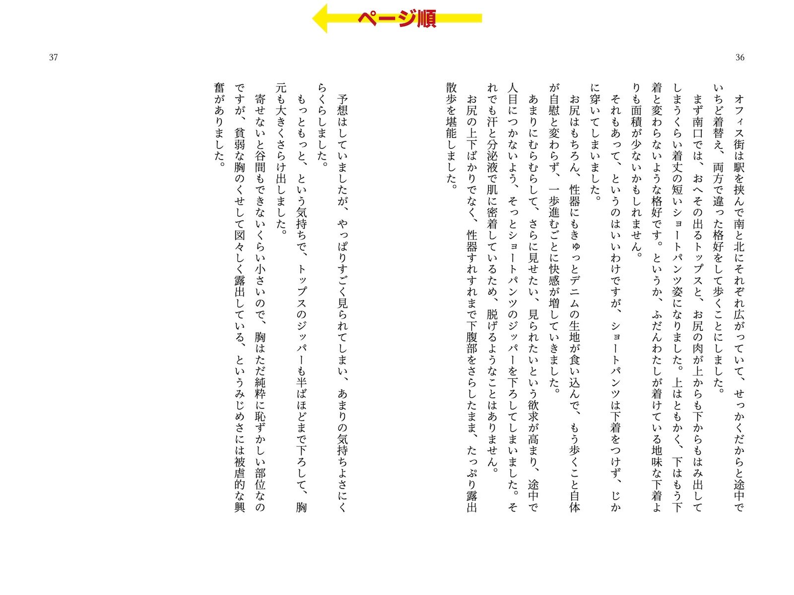 サンプル画像5:委員長・静井莉子の露出自慰日記 〜優等生のカゲキなイキぬき〜(破滅乱淫オーガズム) [d_273574]