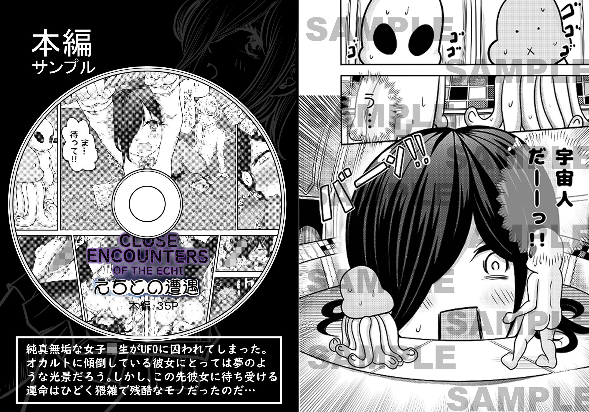 サンプル画像3:えちとの遭遇〜埼玉女子校生UFO強●事件〜(リコピン=りこぴん) [d_273824]