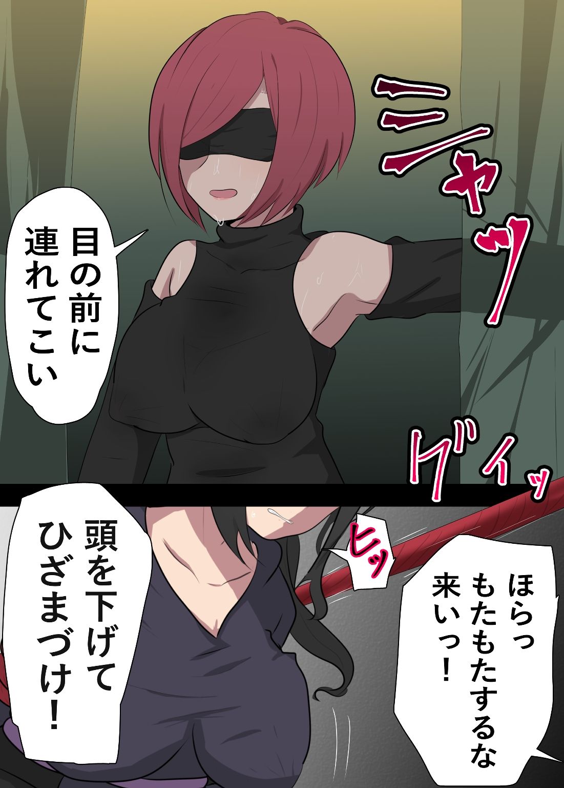 ふたなりに調教されるふたなり