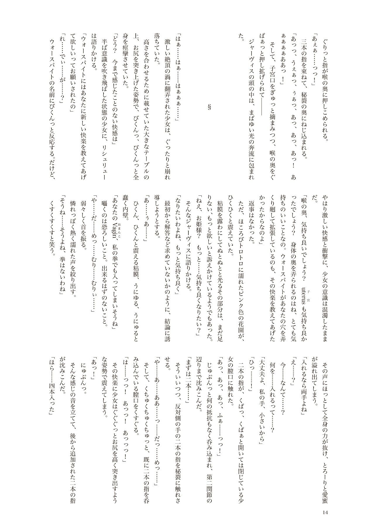 仔猫と王女と四人の魔女2 ダブルフィスト＆鞭責め編