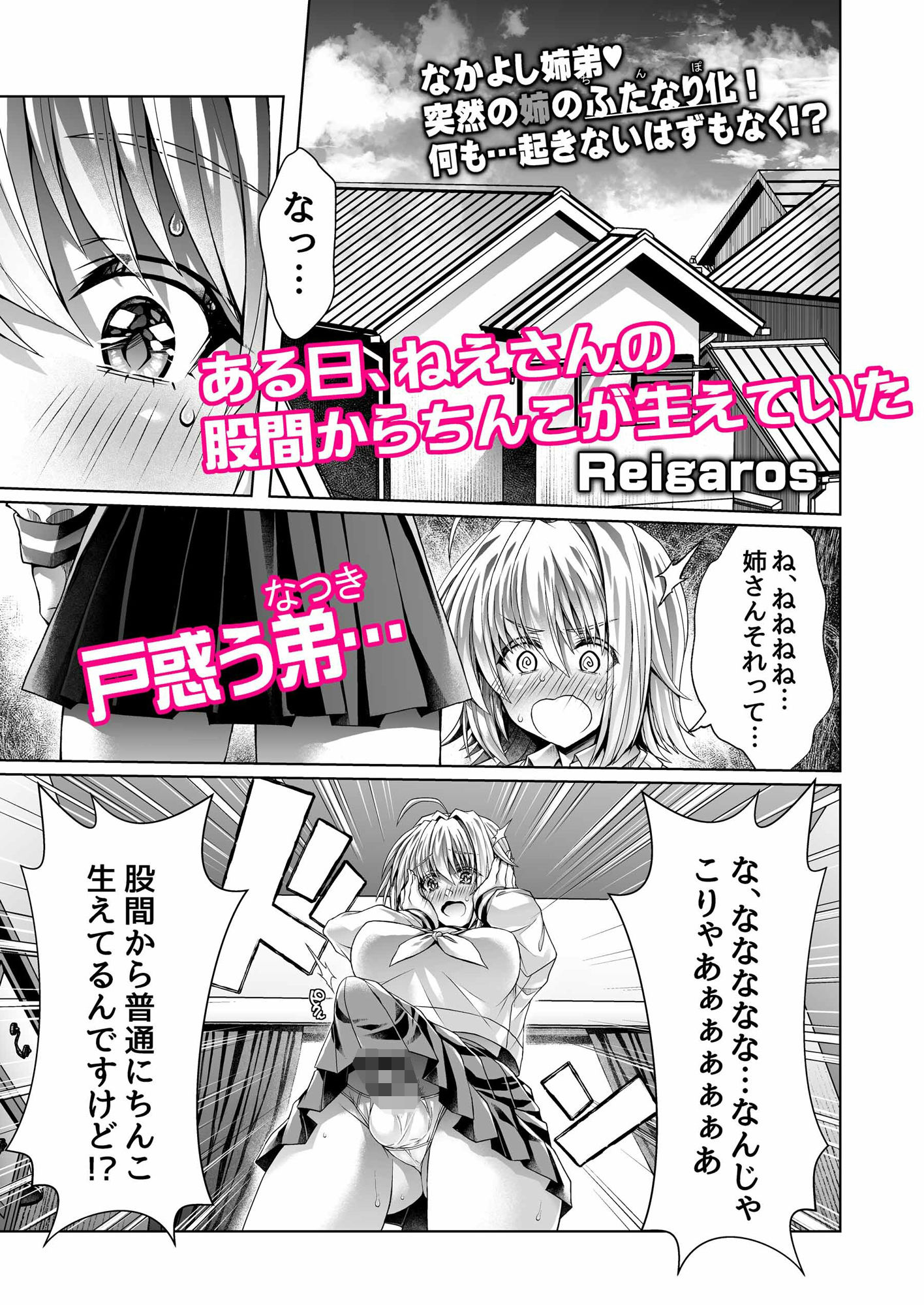 サンプル画像2:僕のおねえちゃんにちんぽが生えた！！(れいが荘) [d_280411]