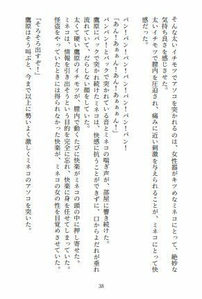 サンプル画像2:身も心もボコボコにされてぶっ壊された美女怪盗(ピッチリスキー) [d_280600]