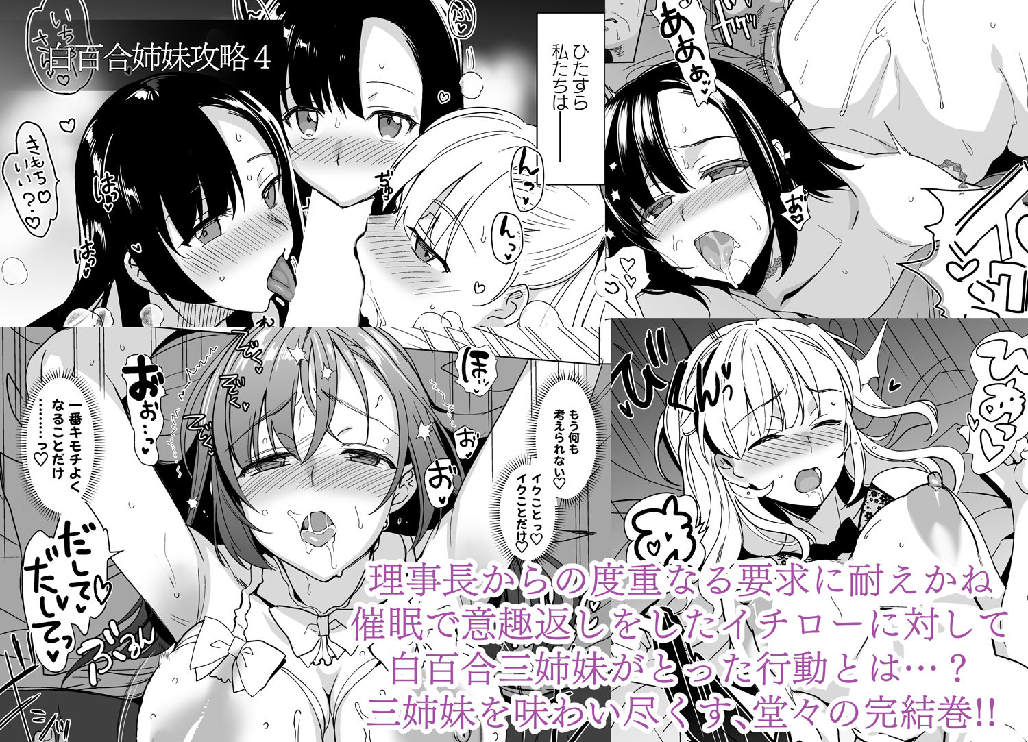 サンプル画像5:白百合姉妹攻略総集編(abgrund) [d_281644]