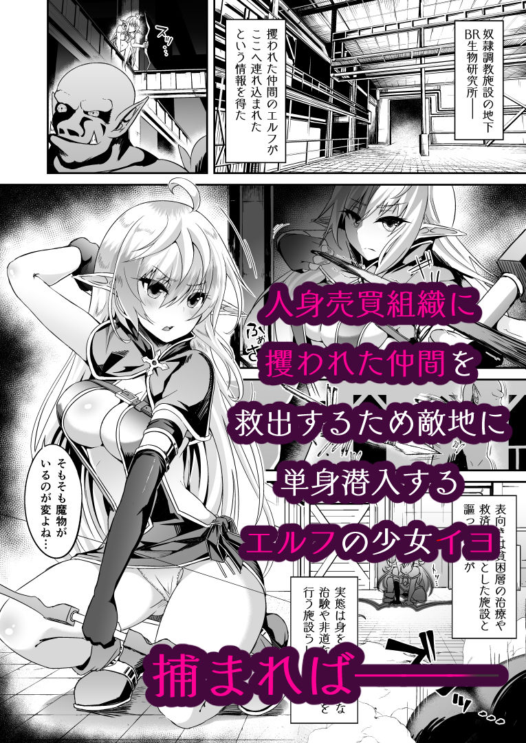 サンプル画像2:逃亡ELF総集編II(白金堂) [d_282720]