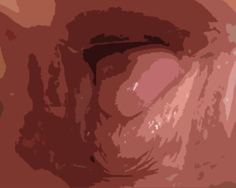 サンプル画像2:私の蟲姦あそび 第9話 妊娠中に元気なミミズ編(シングルママの日常) [d_283288]