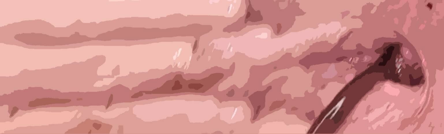 サンプル画像3:私の蟲姦あそび 第9話 妊娠中に元気なミミズ編(シングルママの日常) [d_283288]