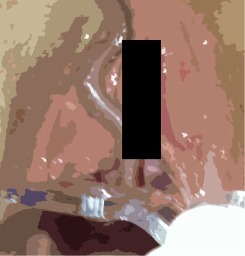 サンプル画像4:私の蟲姦あそび 第9話 妊娠中に元気なミミズ編(シングルママの日常) [d_283288]