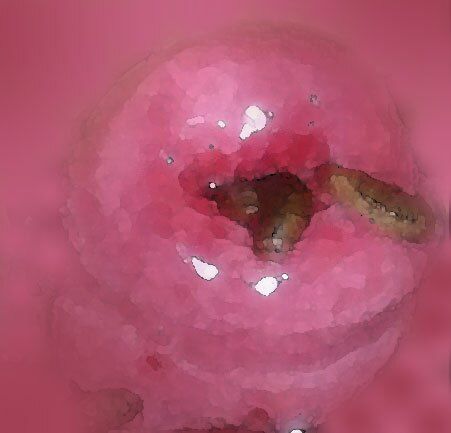 サンプル画像3:私の蟲姦遊び 第10話 妊娠中にウジ虫編(シングルママの日常) [d_284938]