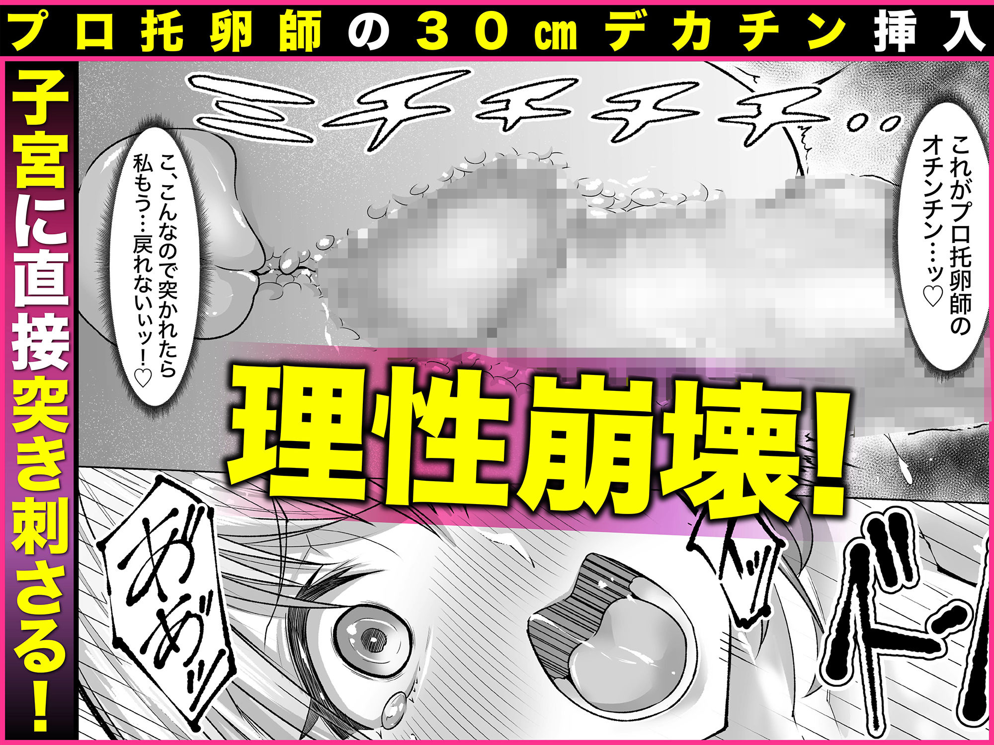 サンプル画像5:妊娠懇願寝取られ托卵妻〜30cm巨根托卵師に孕まされた変態人妻ミカ〜(アトリエTODO) [d_284975]