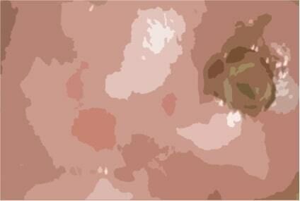 サンプル画像1:私の蟲姦遊び 第11話 妊娠中にカミキリ虫の幼虫とゴキブリの卵編 全編(シングルママの日常) [d_290207]