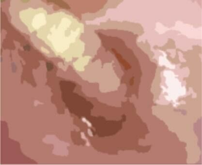 サンプル画像2:私の蟲姦遊び 第11話 妊娠中にカミキリ虫の幼虫とゴキブリの卵編 全編(シングルママの日常) [d_290207]