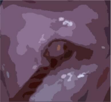 サンプル画像3:私の蟲姦遊び 第11話 妊娠中にカミキリ虫の幼虫とゴキブリの卵編 全編(シングルママの日常) [d_290207]