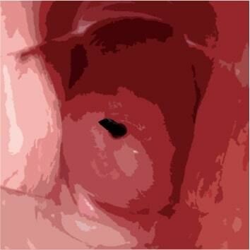 サンプル画像4:私の蟲姦遊び 第11話 妊娠中にカミキリ虫の幼虫とゴキブリの卵編 全編(シングルママの日常) [d_290207]