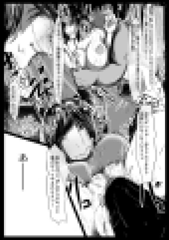 サンプル画像3:俺のヒロインが全員NTR(どるる研究所) [d_290739]