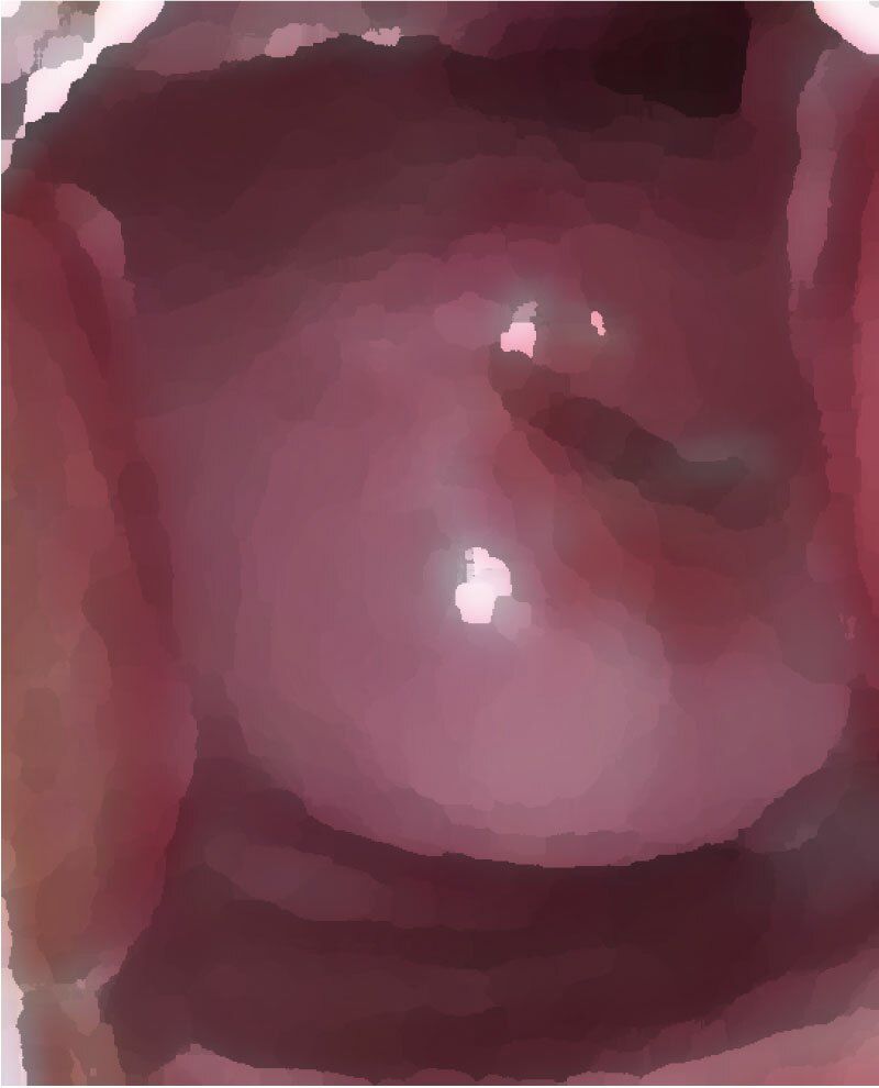 サンプル画像1:私の蟲姦遊び 第12話 妊娠中にナメクジとナメクジの卵編 全編(シングルママの日常) [d_293886]