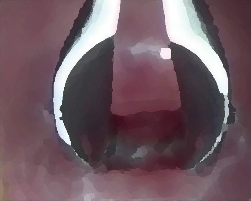 サンプル画像2:私の蟲姦遊び 第12話 妊娠中にナメクジとナメクジの卵編 全編(シングルママの日常) [d_293886]