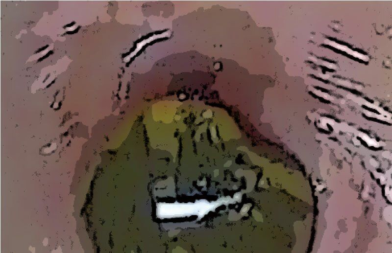 サンプル画像3:私の蟲姦遊び 第12話 妊娠中にナメクジとナメクジの卵編 全編(シングルママの日常) [d_293886]