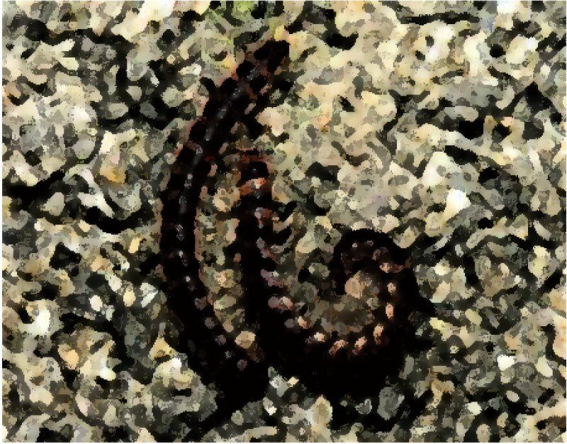 サンプル画像2:私の蟲姦遊び 第13話 妊娠中にヤスデ編(シングルママの日常) [d_294396]