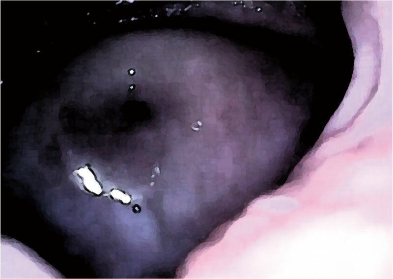 サンプル画像4:私の蟲姦遊び 第13話 妊娠中にヤスデ編(シングルママの日常) [d_294396]