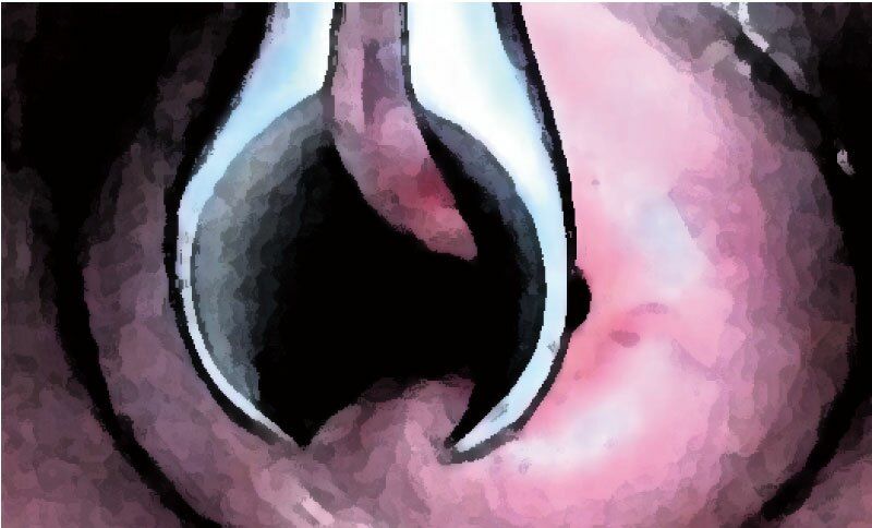 サンプル画像5:私の蟲姦遊び 第13話 妊娠中にヤスデ編(シングルママの日常) [d_294396]