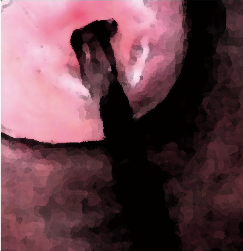 サンプル画像6:私の蟲姦遊び 第13話 妊娠中にヤスデ編(シングルママの日常) [d_294396]