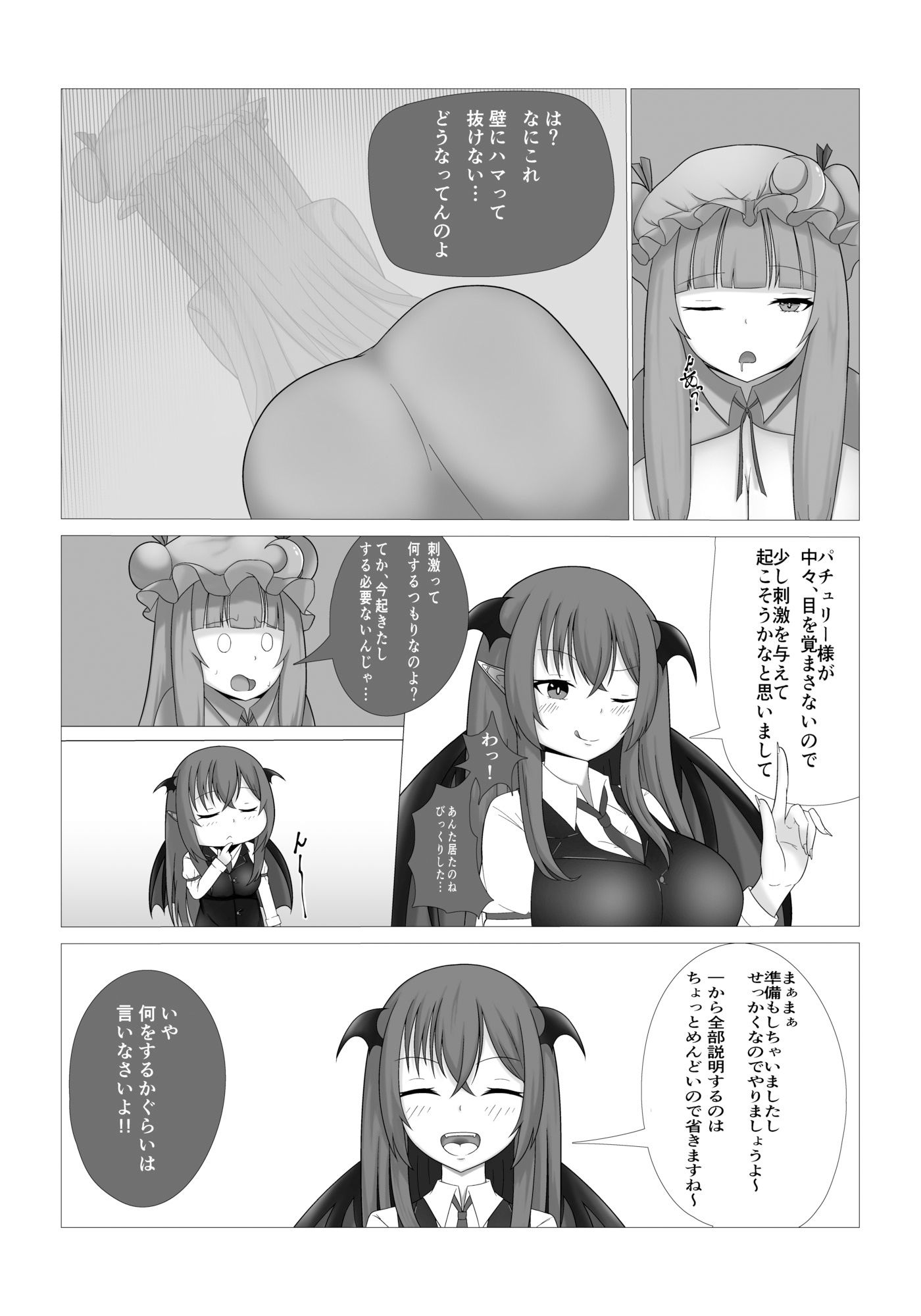 サンプル画像3:パチュリー様の壁尻本(尻明子) [d_295184]