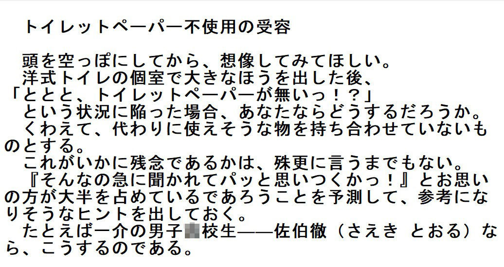 サンプル画像1:トイレットペーパー不使用の受容(丸不精) [d_296416]