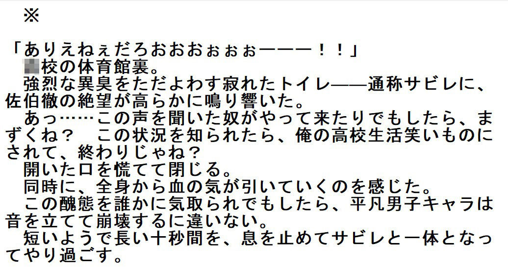 サンプル画像2:トイレットペーパー不使用の受容(丸不精) [d_296416]